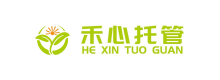 成功案例