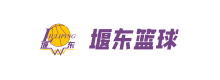 成功案例
