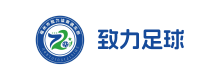 成功案例
