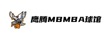 成功案例